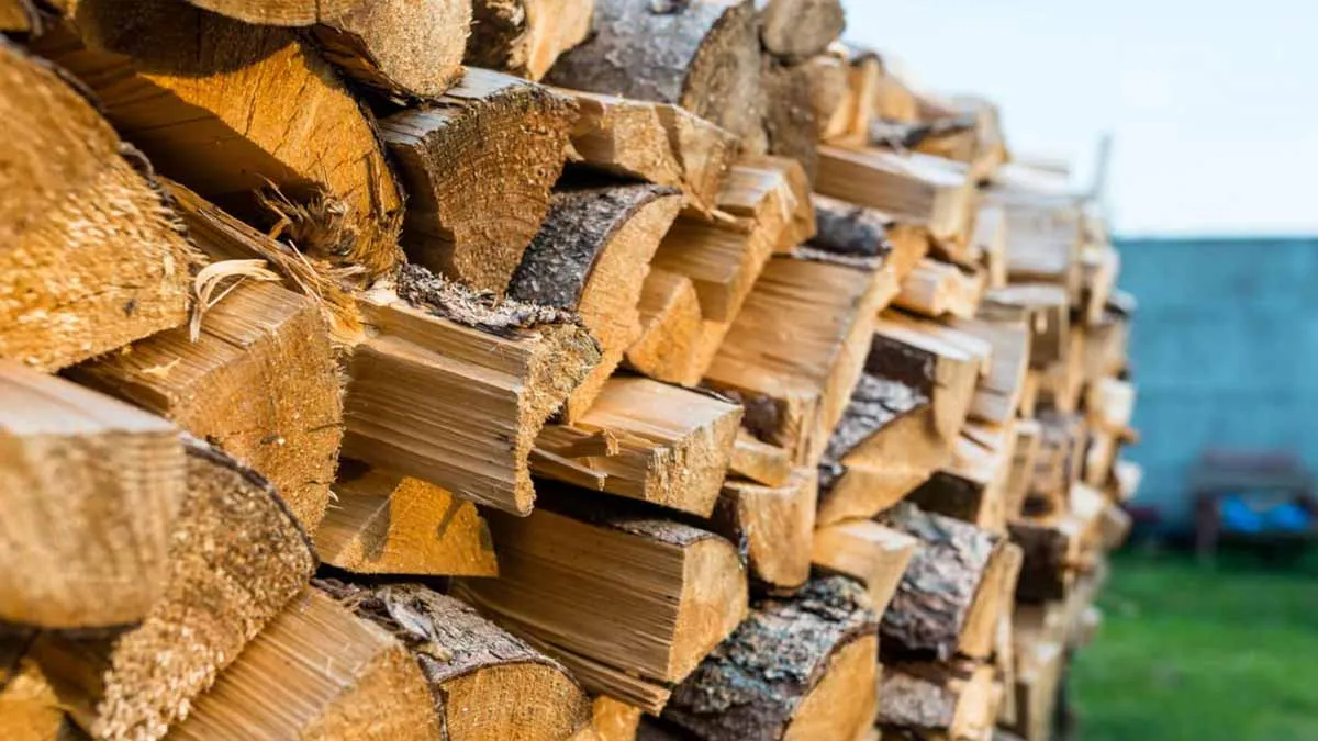 Brandhout goed bewaren voor warmte en gezelligheid